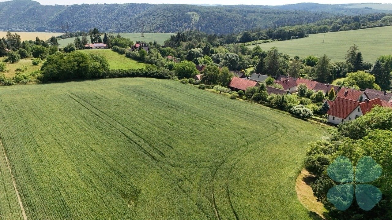 Prodej pozemek pro bydlení - Hřešihlavy, Kladruby, 10 864 m² - 5