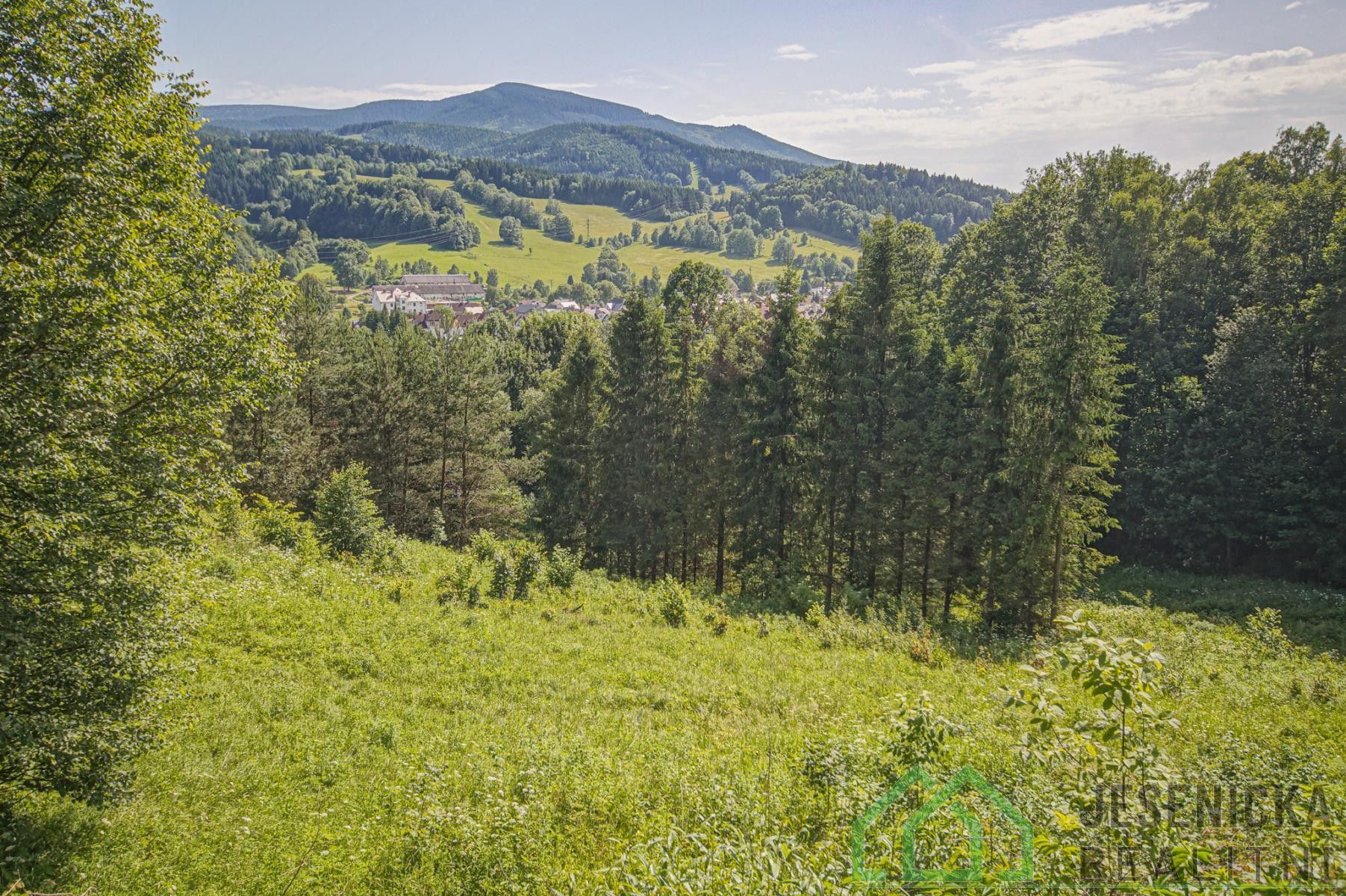 Zemědělské pozemky, Lipová-lázně, 12 392 m²