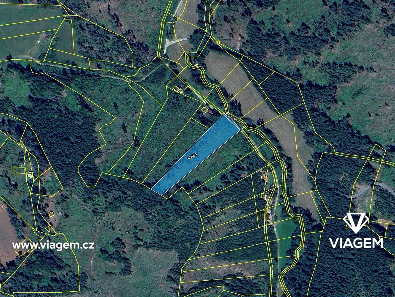 Les · Baliny, okres Žďár nad Sázavou, Kraj Vysočina - 4