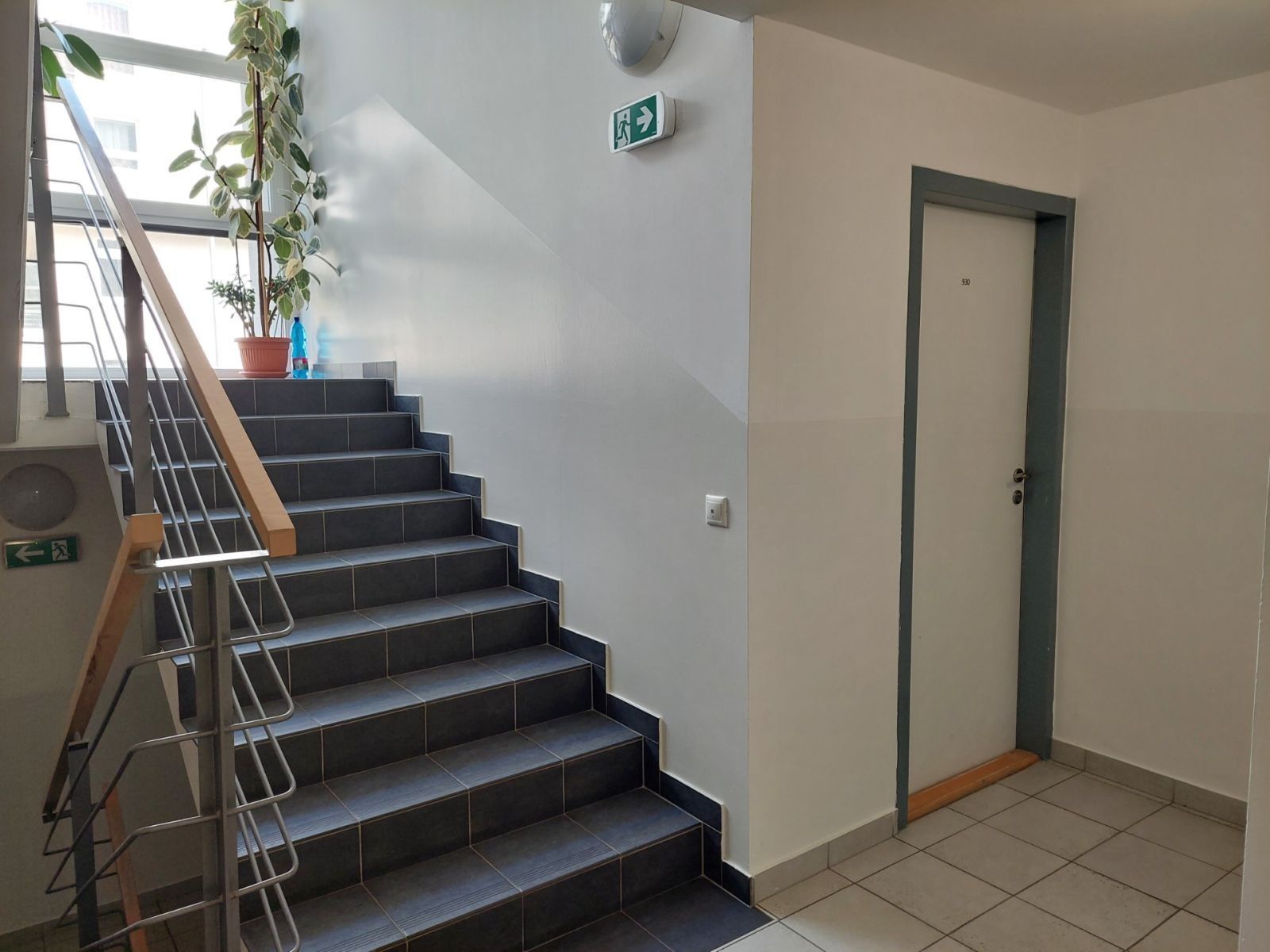 Pronájem byt 1+kk - Šedova, Praha - Černý Most, 15 m² - 5