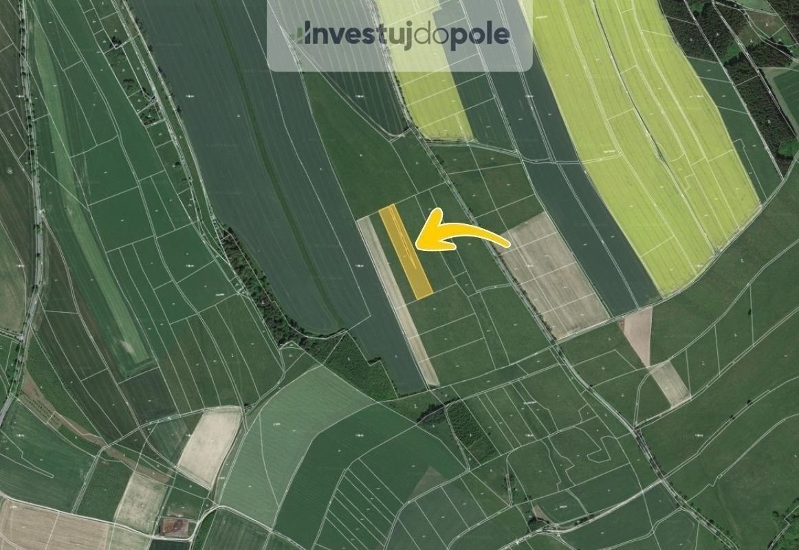 Prodej zemědělský pozemek - Police nad Metují, 8 023 m²