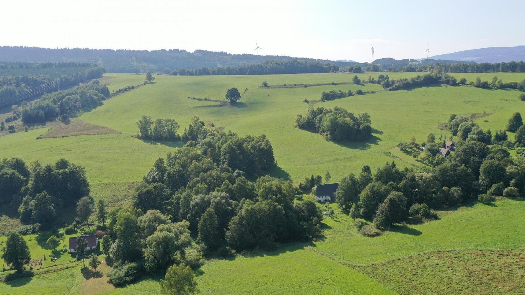 Prodej louka - Bernartice, okres Trutnov, Královéhradecký kraj - 5