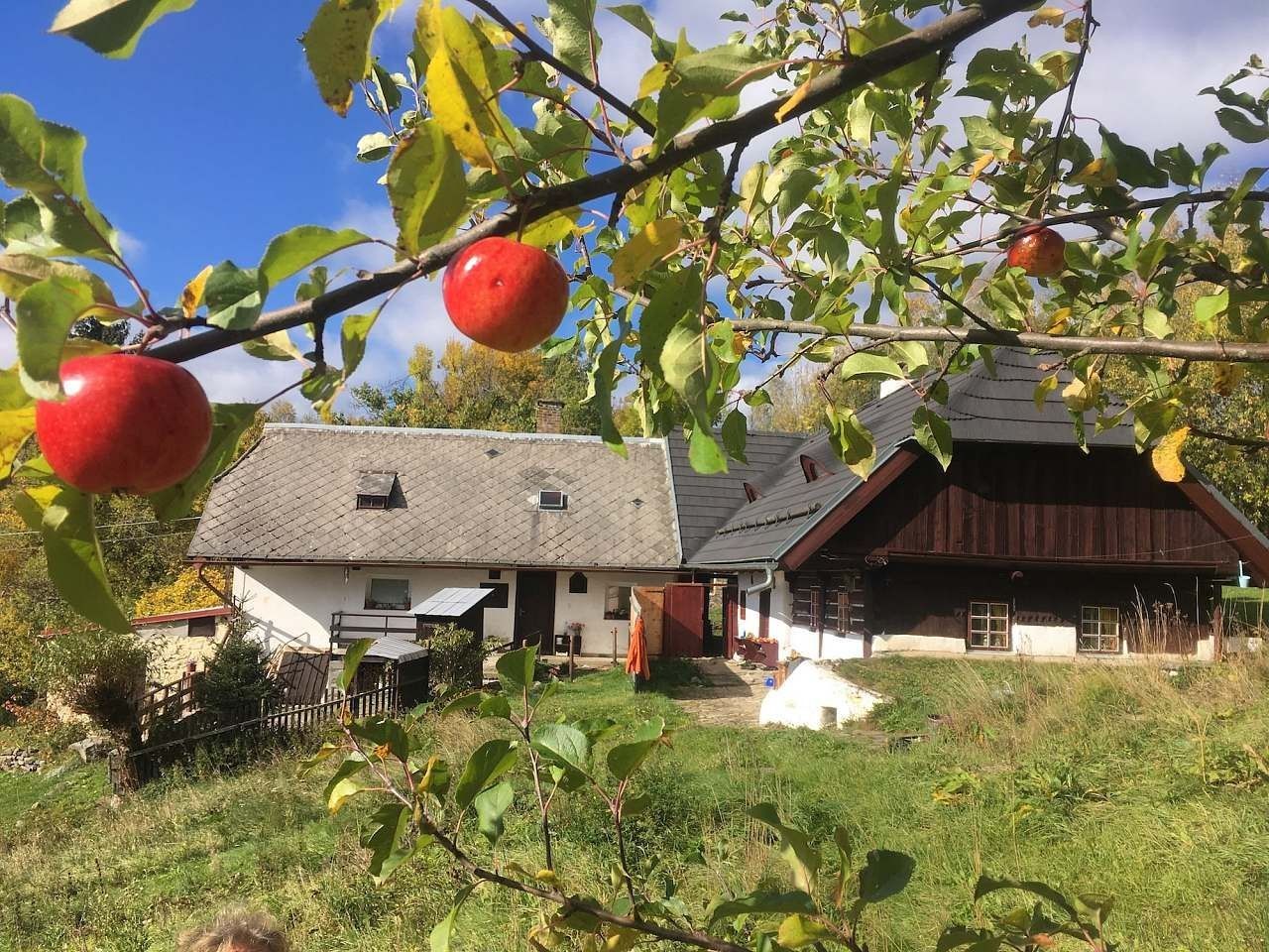 Chaty, Stachy - Úbislav, Jihočeský kraj - 2