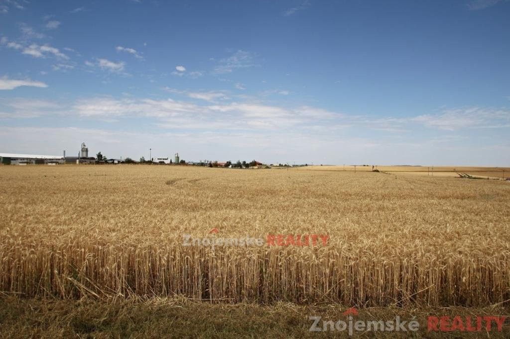 Prodej zemědělský pozemek - Blanné, 24 000 m²