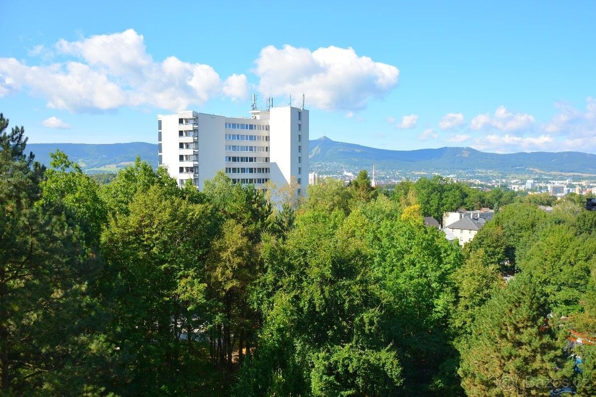 Byty, Liberec, 460 05