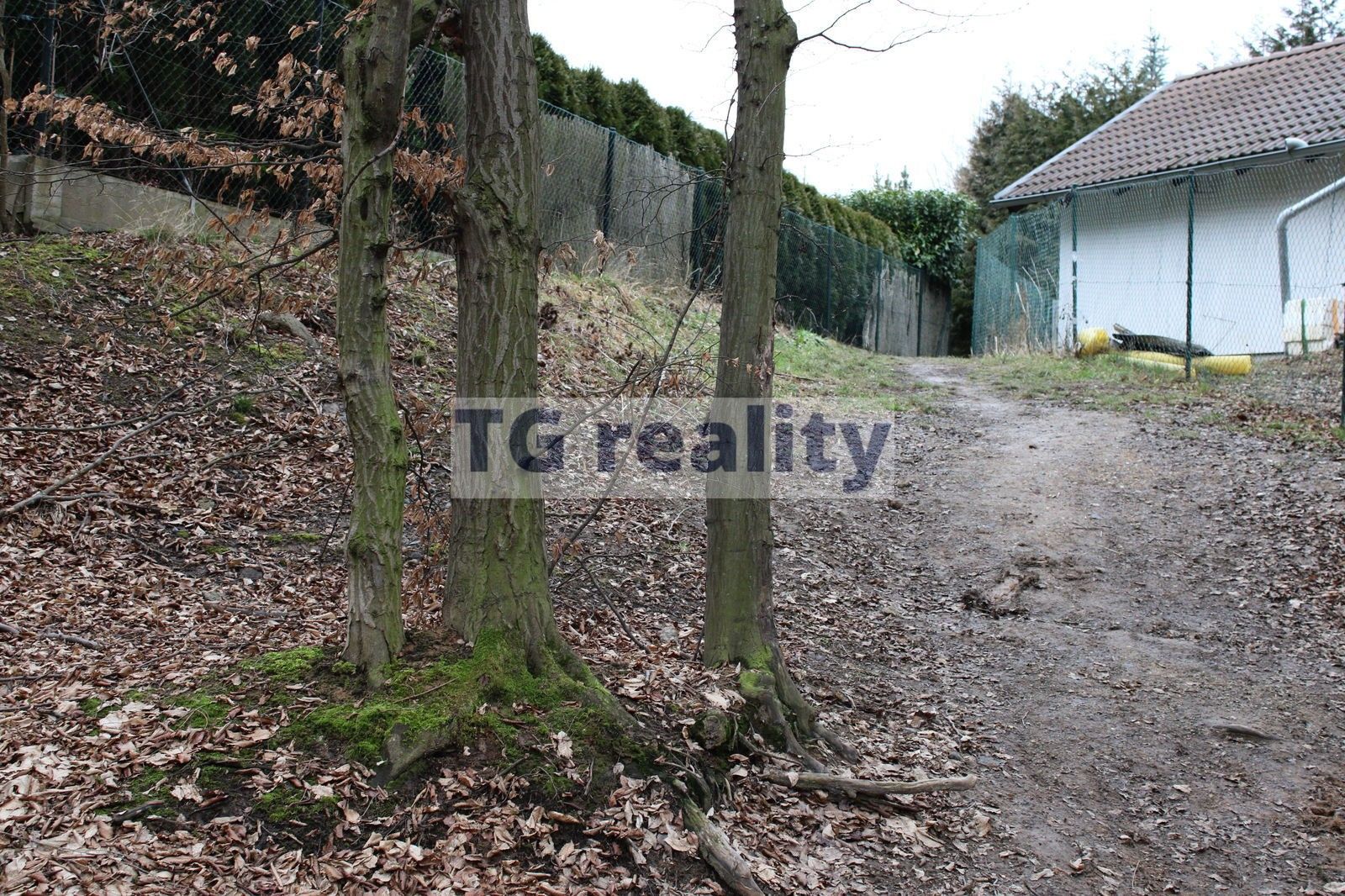 Prodej les - Babice, 8 m²