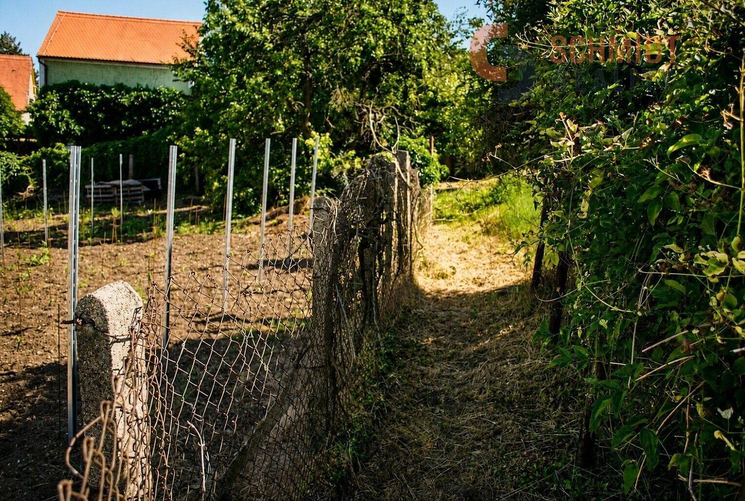 Pozemek pro bydlení · Pavlov, okres Břeclav, Jihomoravský kraj - 3