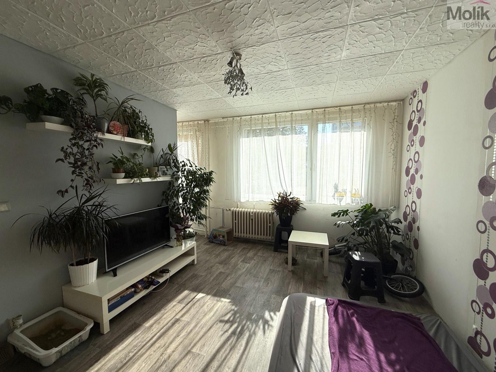 1+1, K. H. Borovského, Most, 26 m² - 2