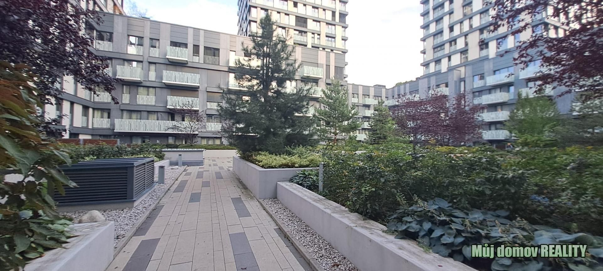 2+1, Olšanská, Praha, 79 m² - 1