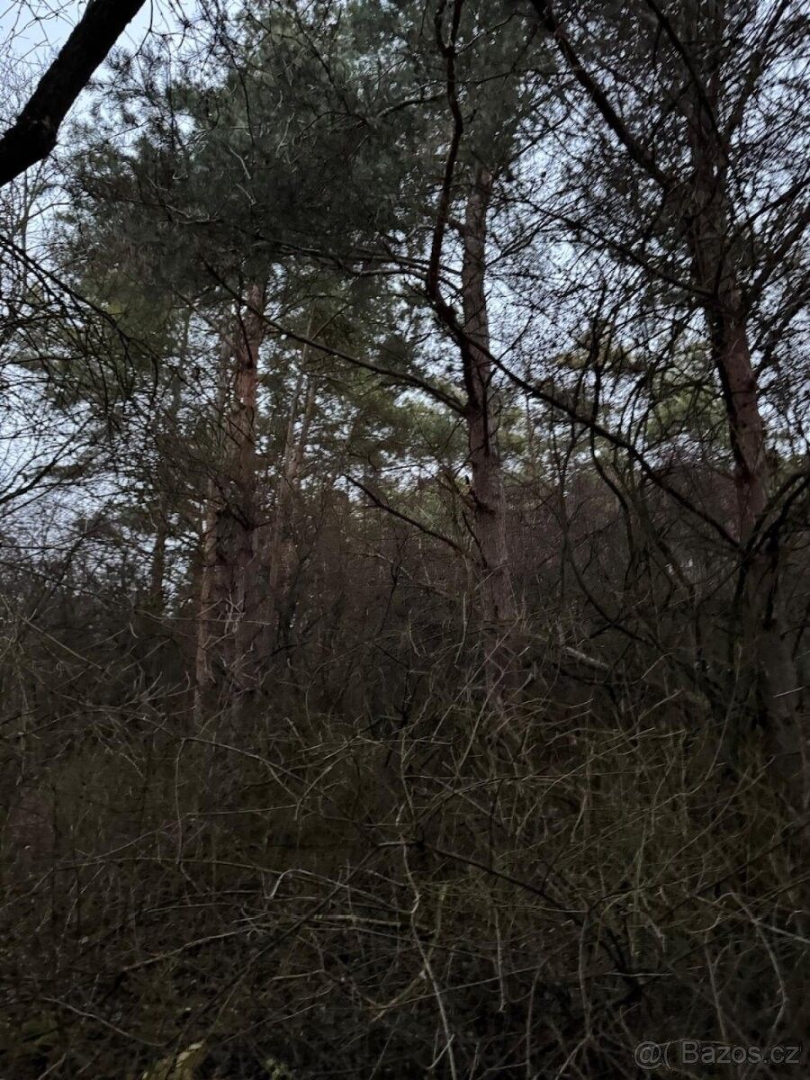 Prodej pozemek pro bydlení - Čáslav, 286 01