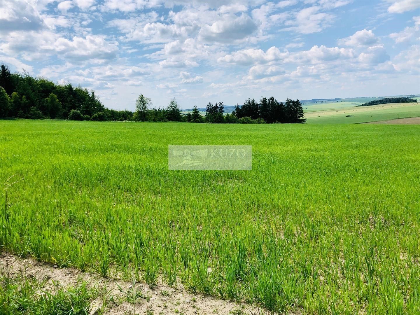 Zemědělské pozemky, Zašovice, 38 643 m²