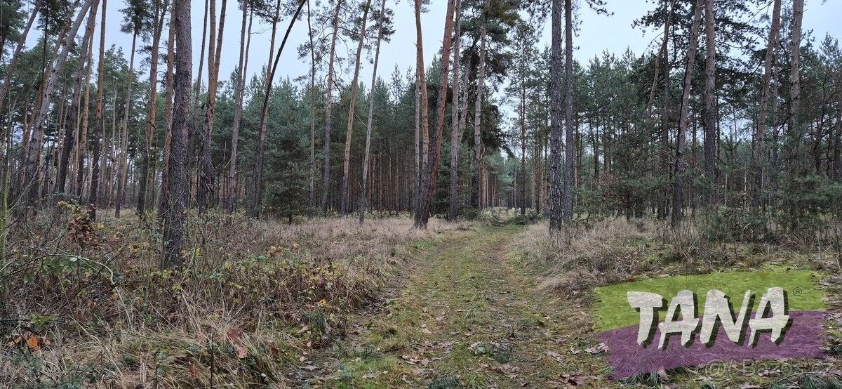 Pozemky pro bydlení, Poděbrady, 290 01