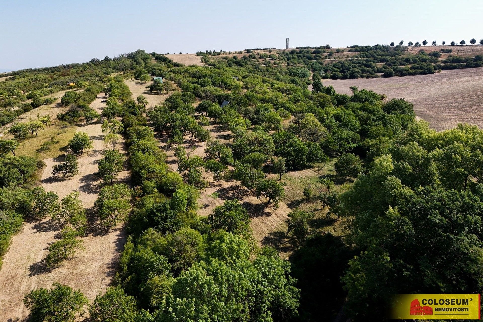 Zemědělský pozemek · Židlochovice - 3