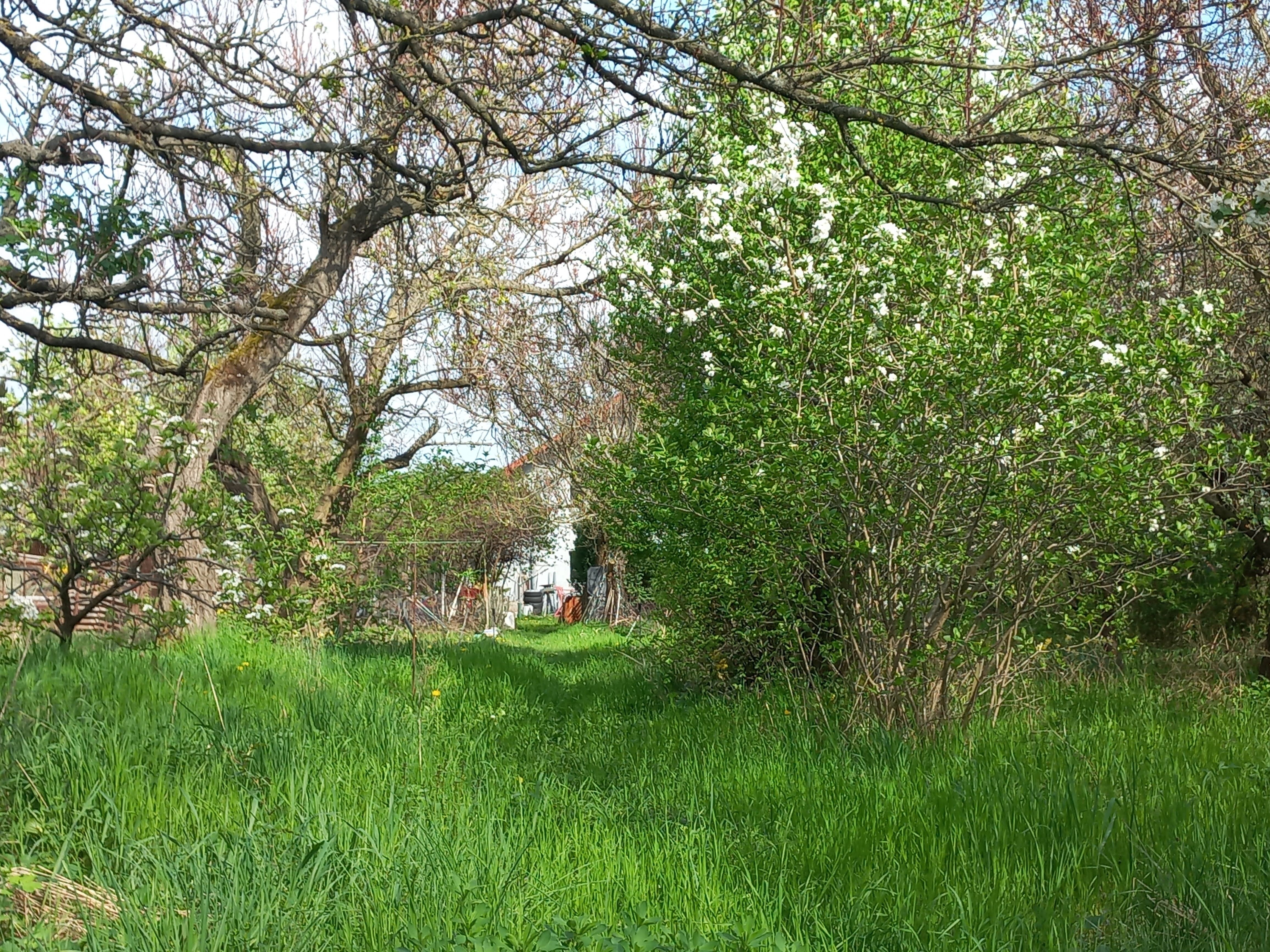 Prodej zahrada - Novomoravanská, Brno, 2 000 m²