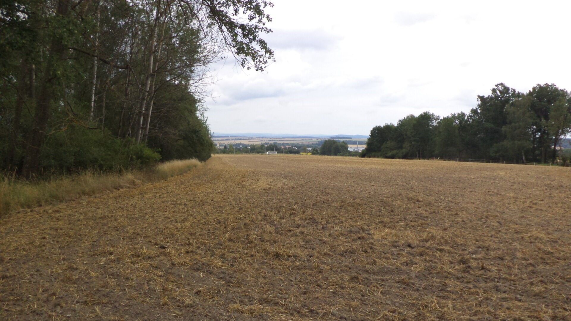 Zahrada · 1 100 m² · Heřmanova Huť Vlkýš - 4