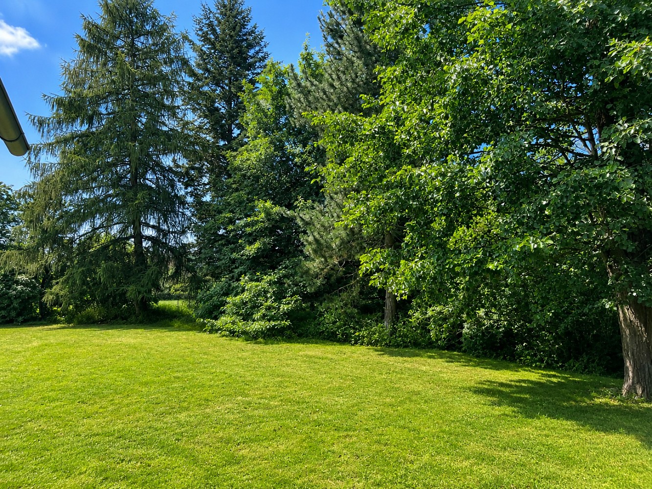 Prodej chalupa - Polička - Modřec, okres Svitavy, 83 m² - 5