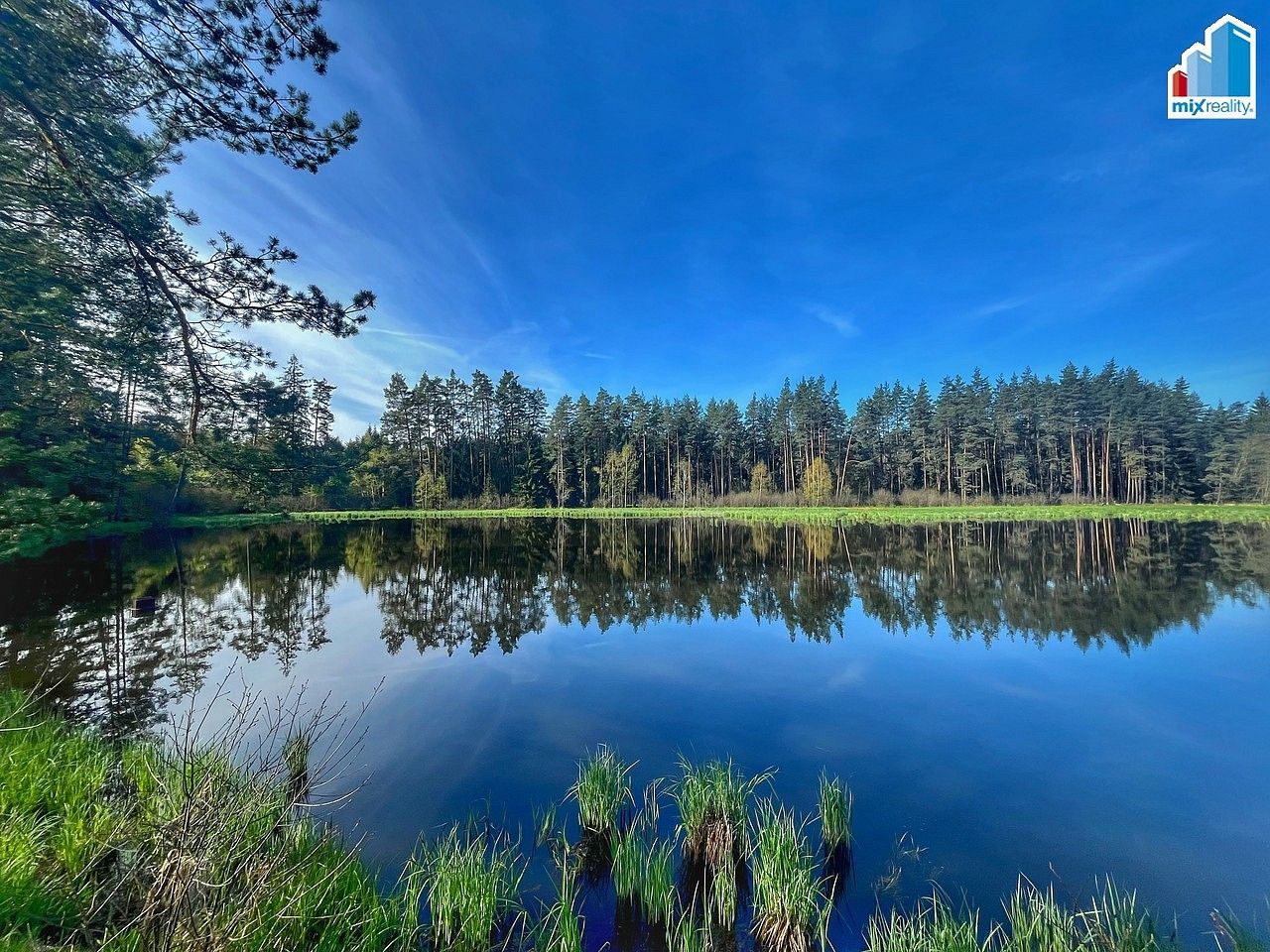 Prodej rybník - Trstěnice, okres Cheb, Karlovarský kraj - 5