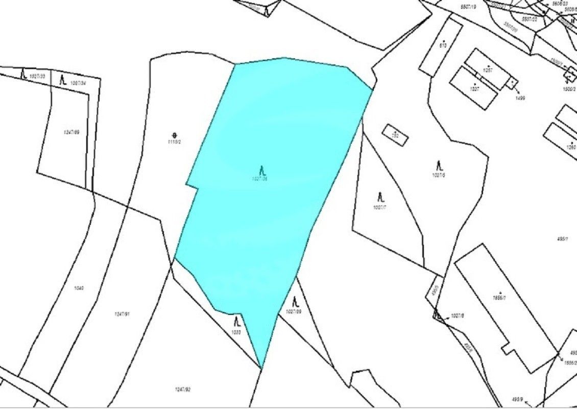 Prodej les - Kralovice, 6 740 m²