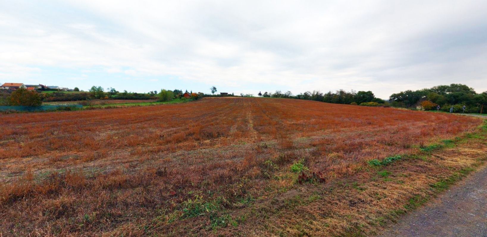 Prodej pozemek pro bydlení - Zruč nad Sázavou
