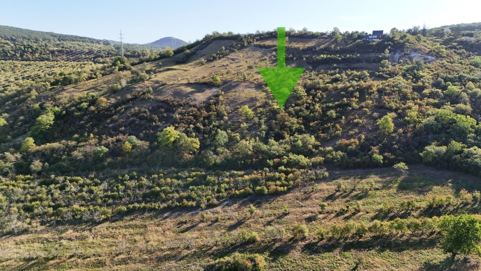 Zemědělský pozemek · 6 102 m² · Kamýk - 4