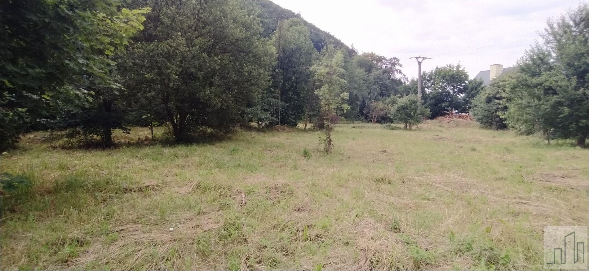 Prodej pozemek pro bydlení - Hanušovice, 3 222 m²