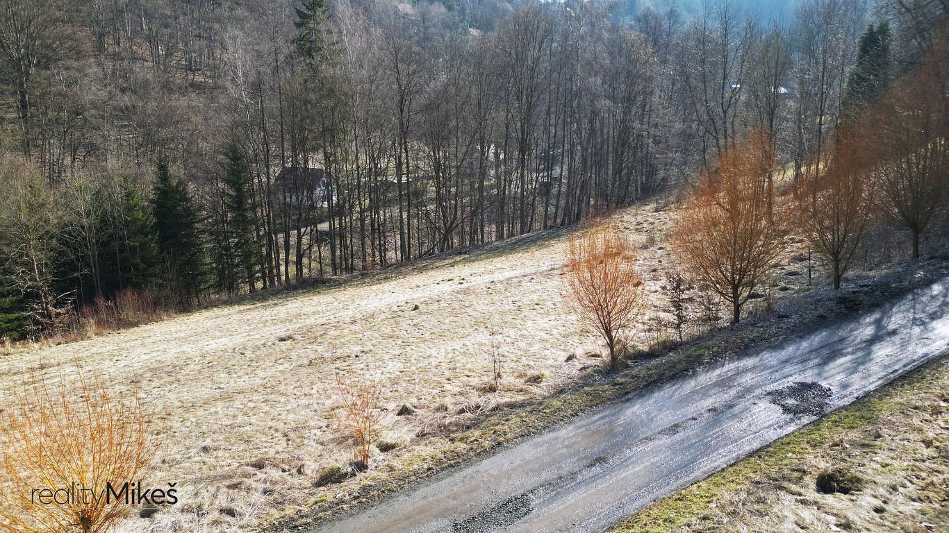 Prodej louka - Železný Brod, okres Jablonec nad Nisou, Liberecký kraj - 2