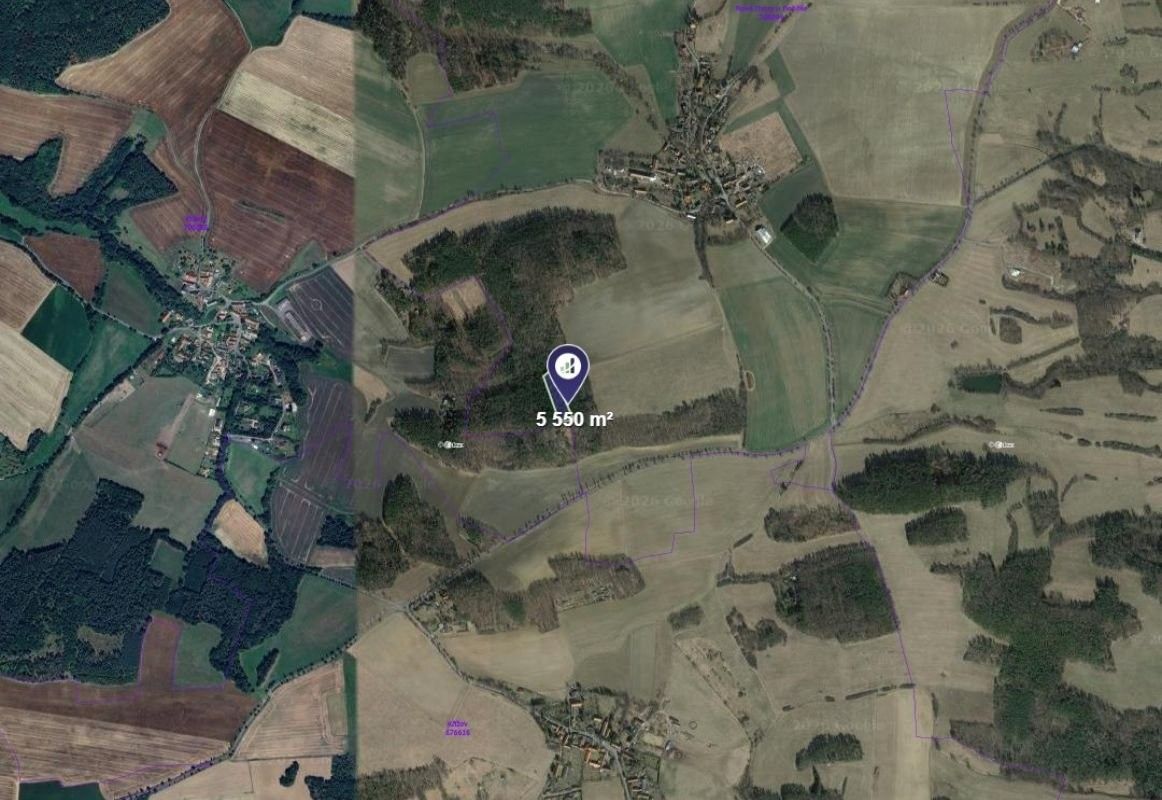 Lesy, Nové Dvory, 1 388 m² - 2