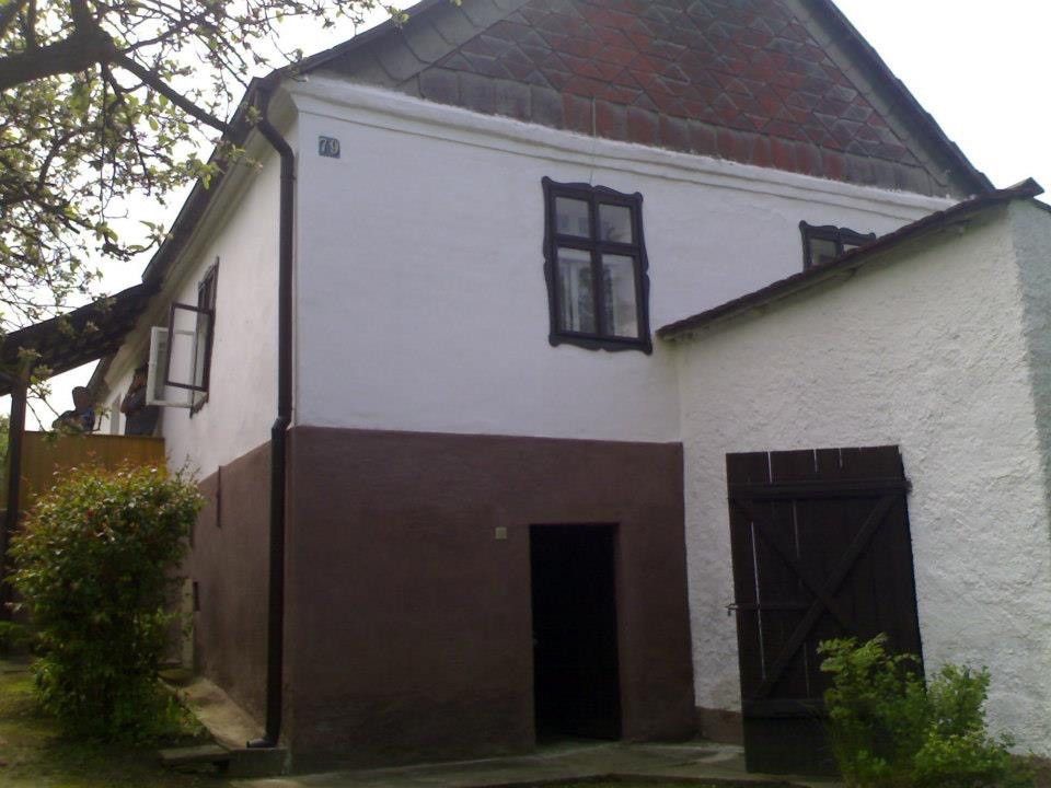 Prodej rodinný dům - Pavlíkov, 270 21