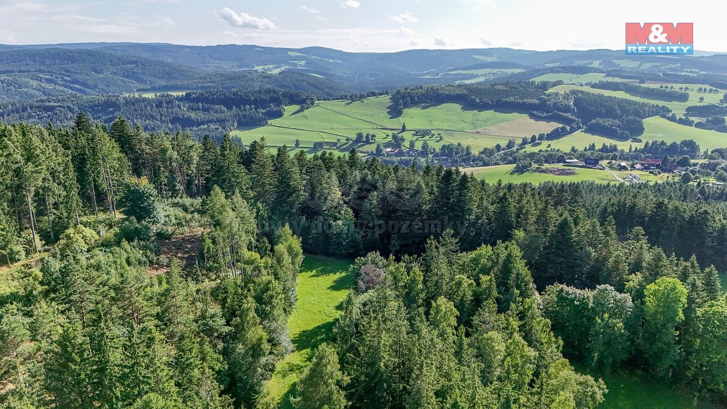 Les · Petrovice u Sušice - Maršovice, okres Klatovy, Plzeňský kraj - 4