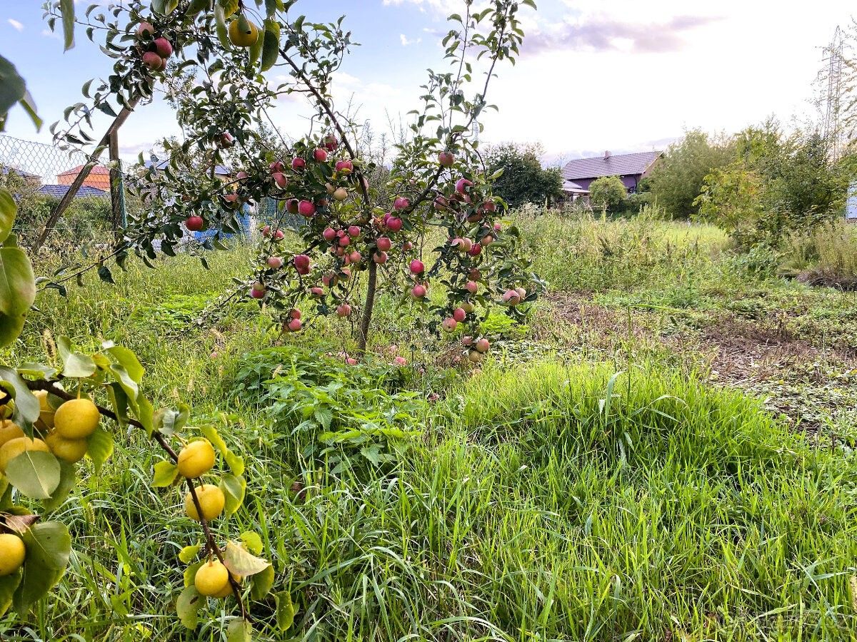 Prodej pozemek pro bydlení - Velký Týnec, 783 72
