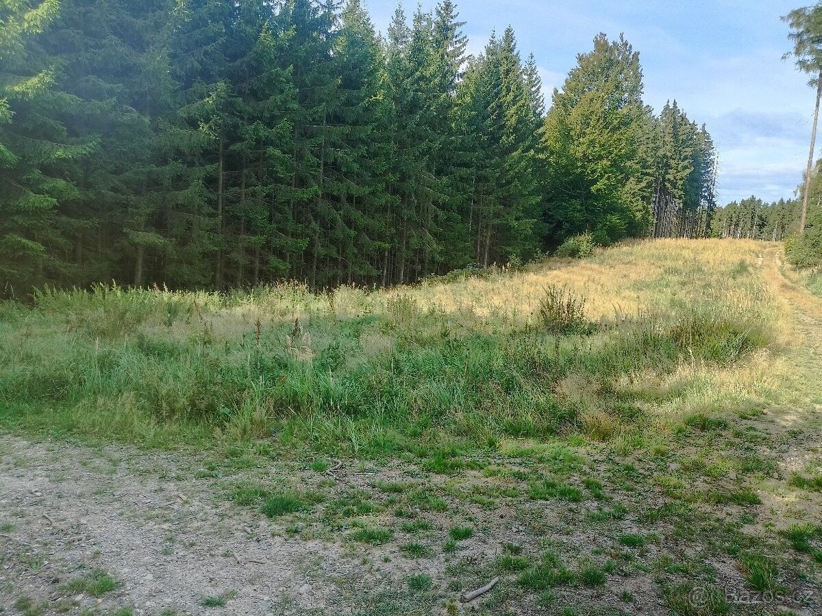 Pozemek pro bydlení · Radostín nad Oslavou, 594 44 - 3