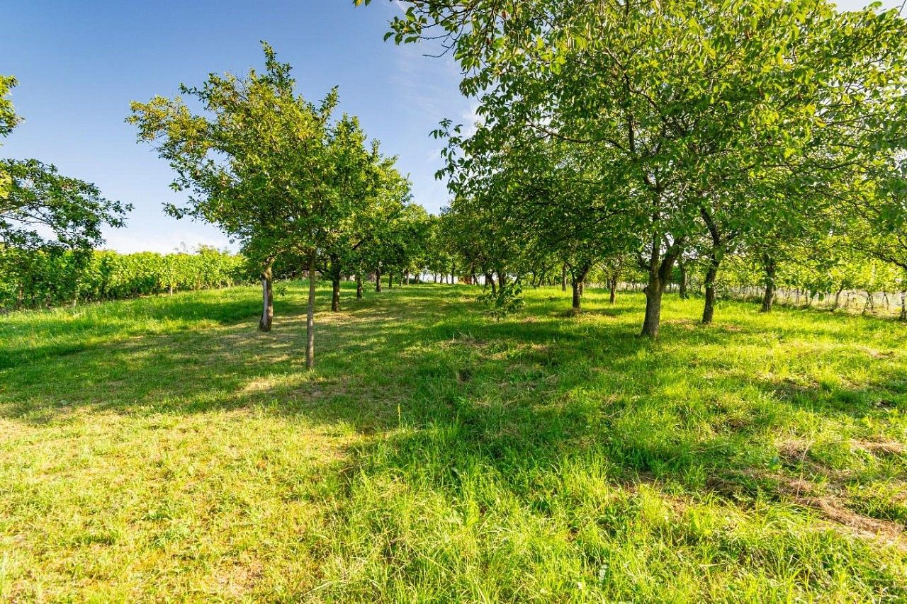 Prodej zahrada - Kudlovice, okres Uherské Hradiště, Zlínský kraj - 5