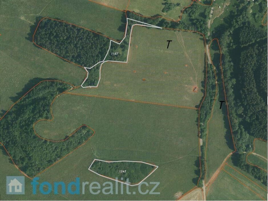 Pozemek · 23 451 m² · Kájov Křenov - 4