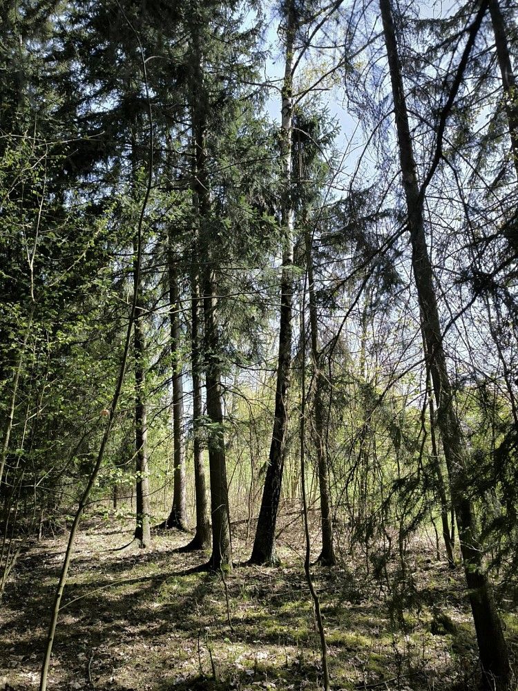 Les, 2 671 m²