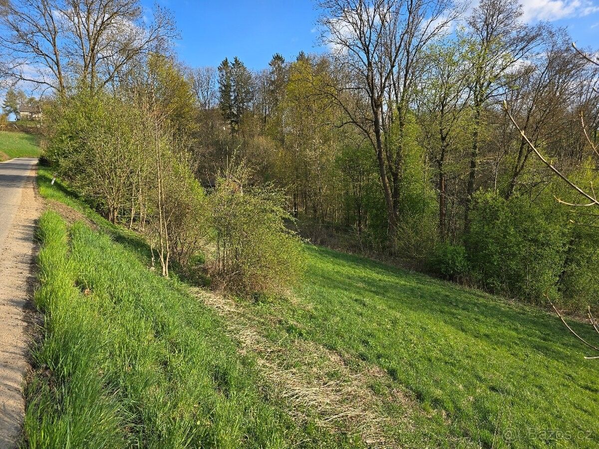 Stavební pozemek, Příkrý - View 4