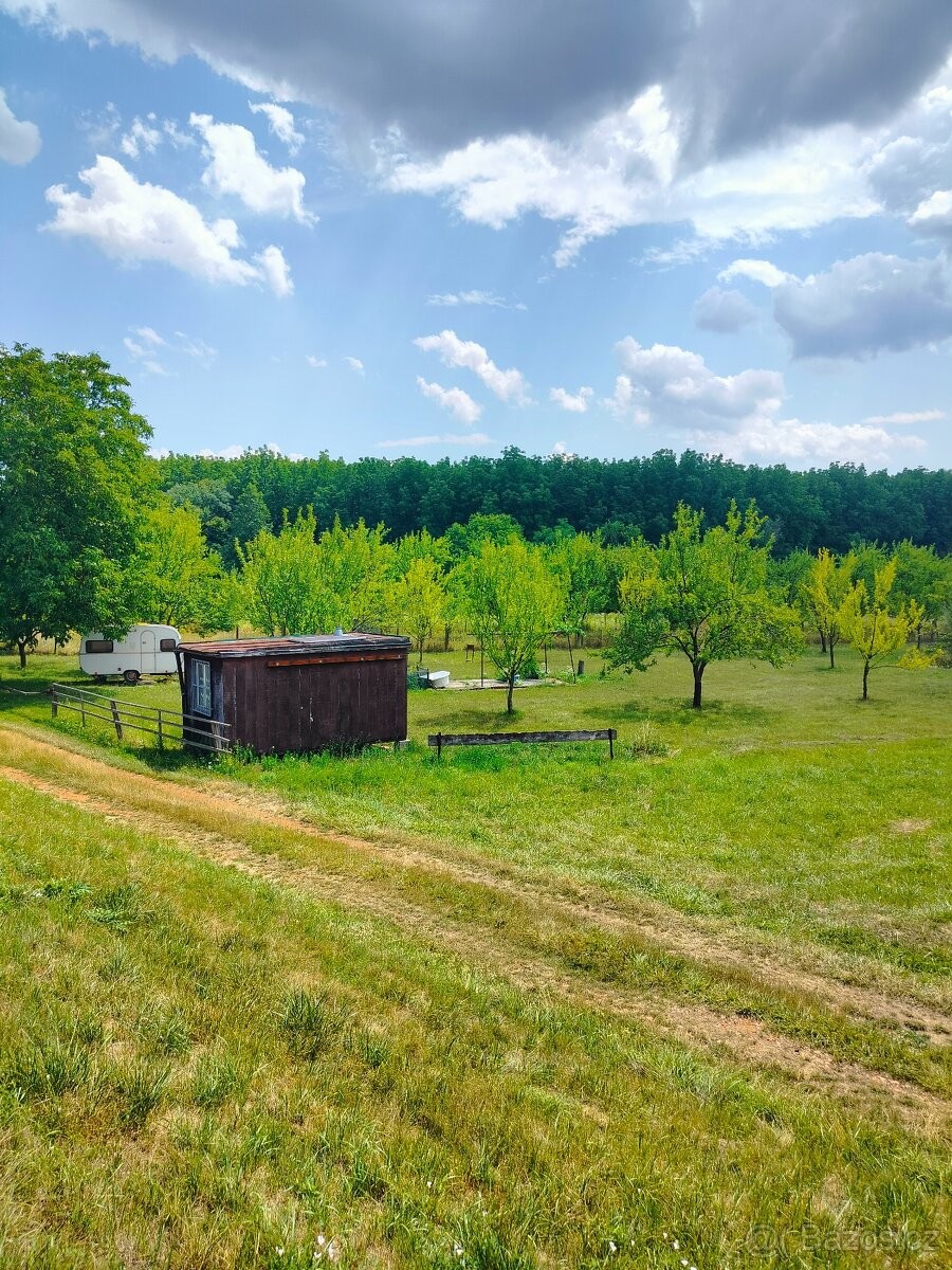 Prodej pozemek pro bydlení - Veselí nad Moravou, 698 01 - 5