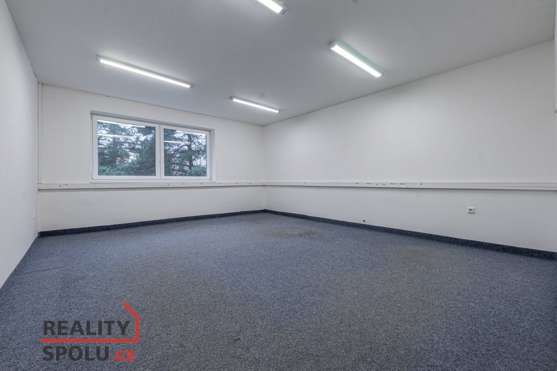 Kanceláře, Americká, Blovice, 100 m²