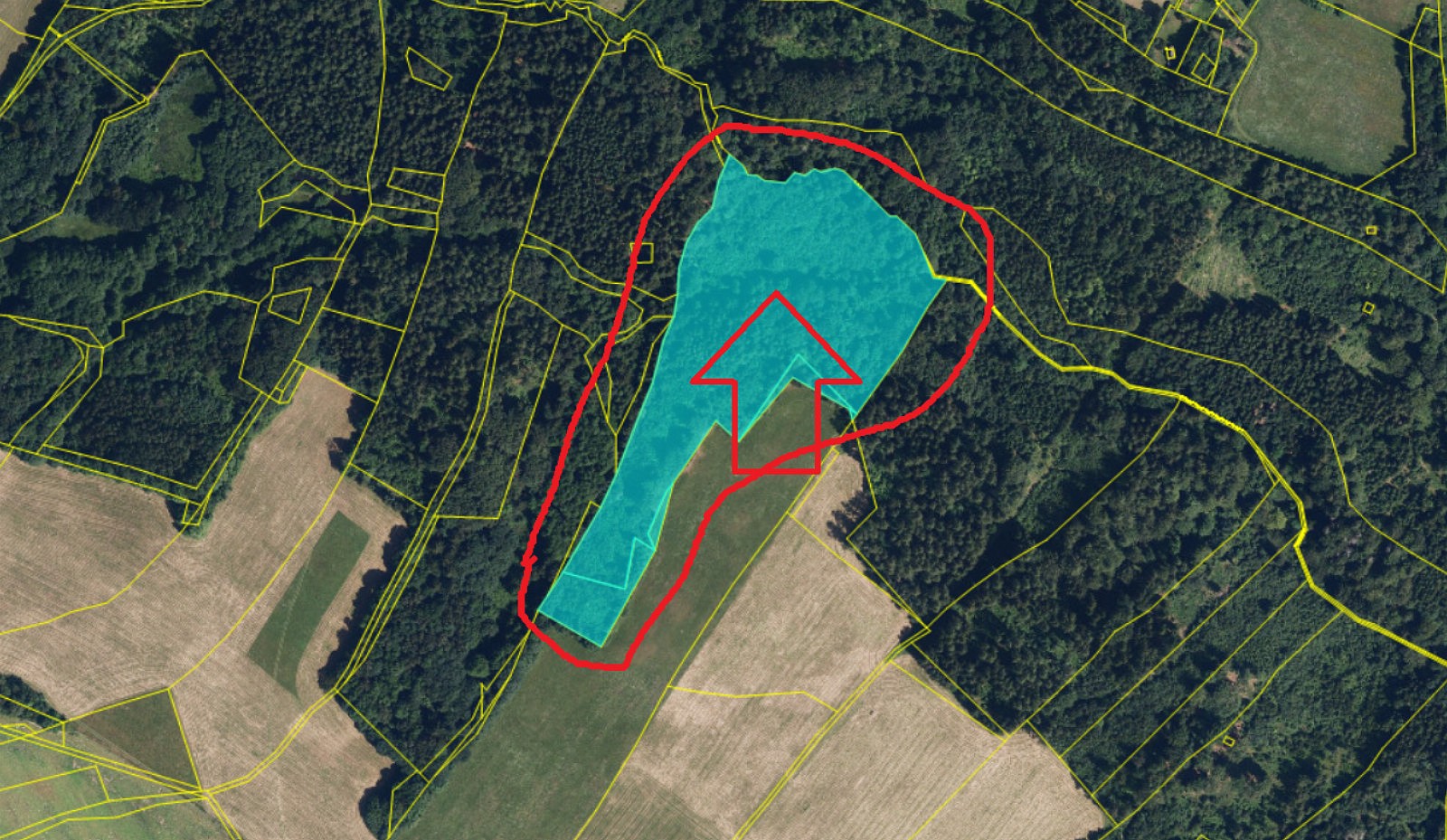 Prodej les - Horní Studénky - Drnovice - 5