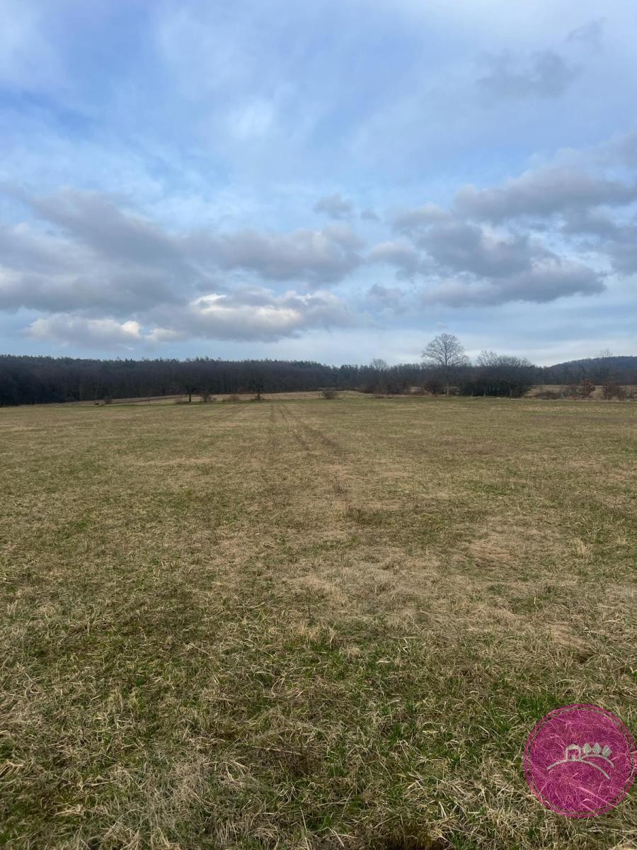 Prodej zemědělský pozemek - Bělkovice-Lašťany, 13 030 m² - 5