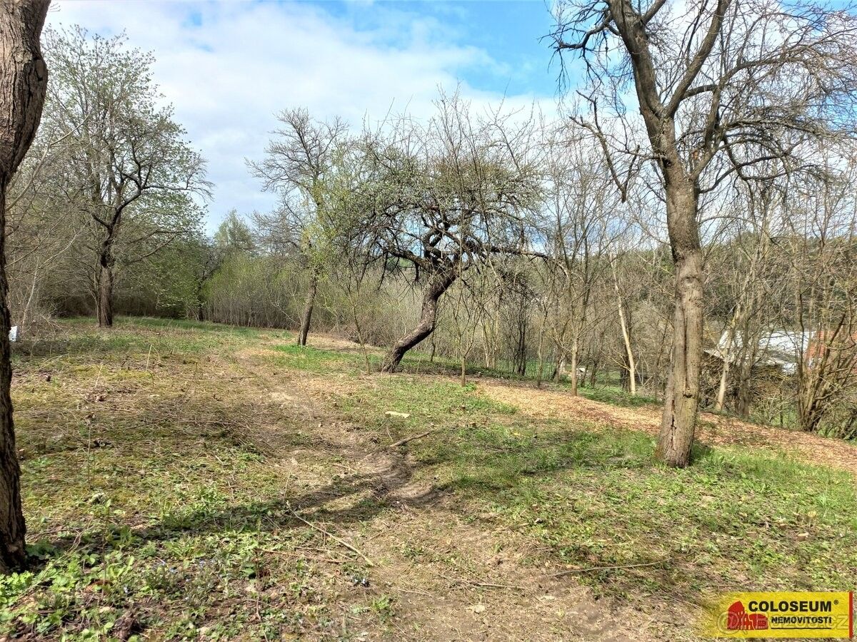 Zahrady, Lysice, 679 71