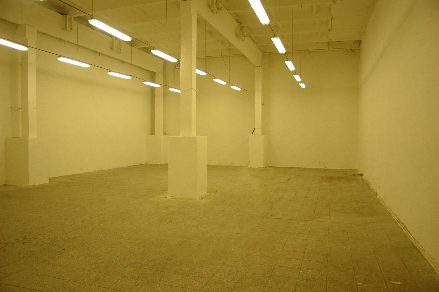 Sklady, Luštěnice - Zelená, okres Mladá Boleslav, 220 m² - 2