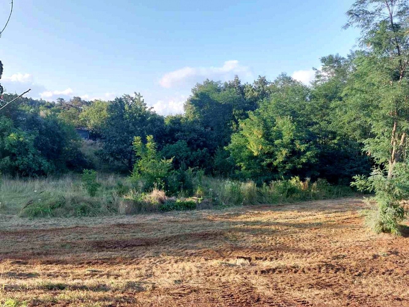 Pozemek pro bydlení, 1 586 m²