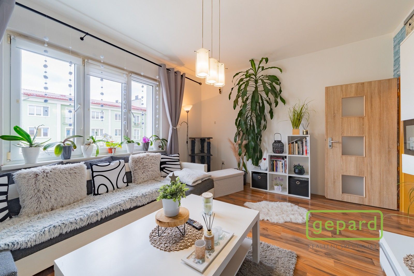 2+1, S. K. Neumanna, Ostrov, 54 m² - 1