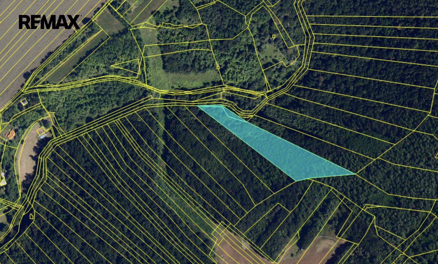 Lesy, Moravské Bránice, okres Brno-venkov, Jihomoravský kraj - 2