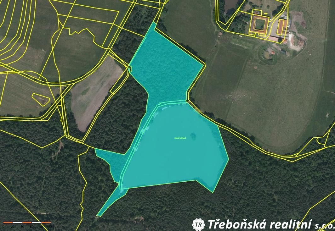 Rybník · Jílovice Šalmanovice - 3