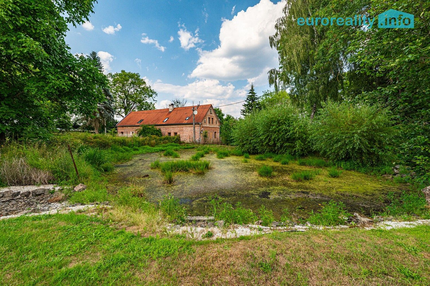 Prodej pozemek pro bydlení - Vlkovice, okres Cheb, Karlovarský kraj - 5