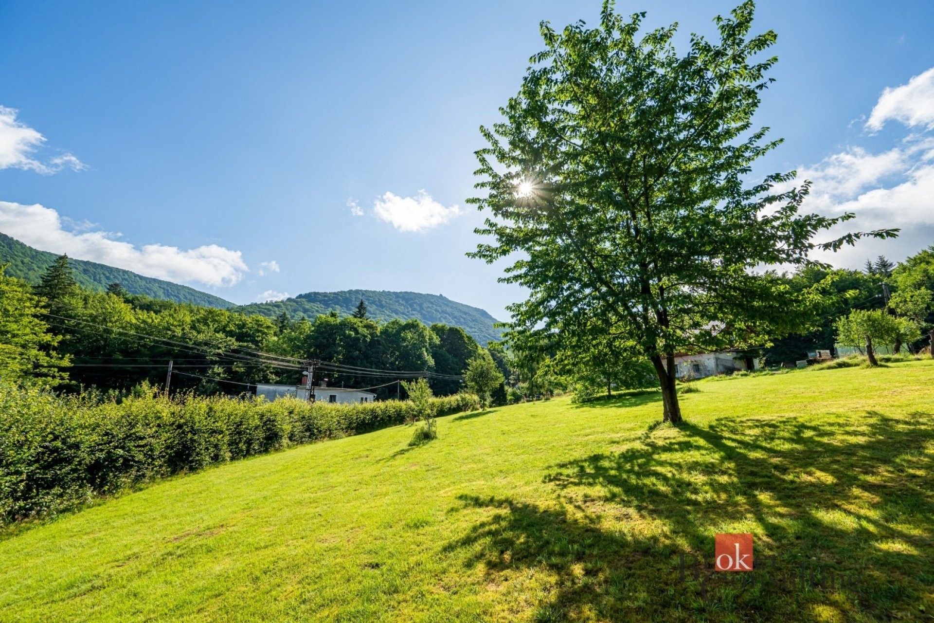 Prodej pozemek pro bydlení - Bílý Potok, 1 200 m² - 5