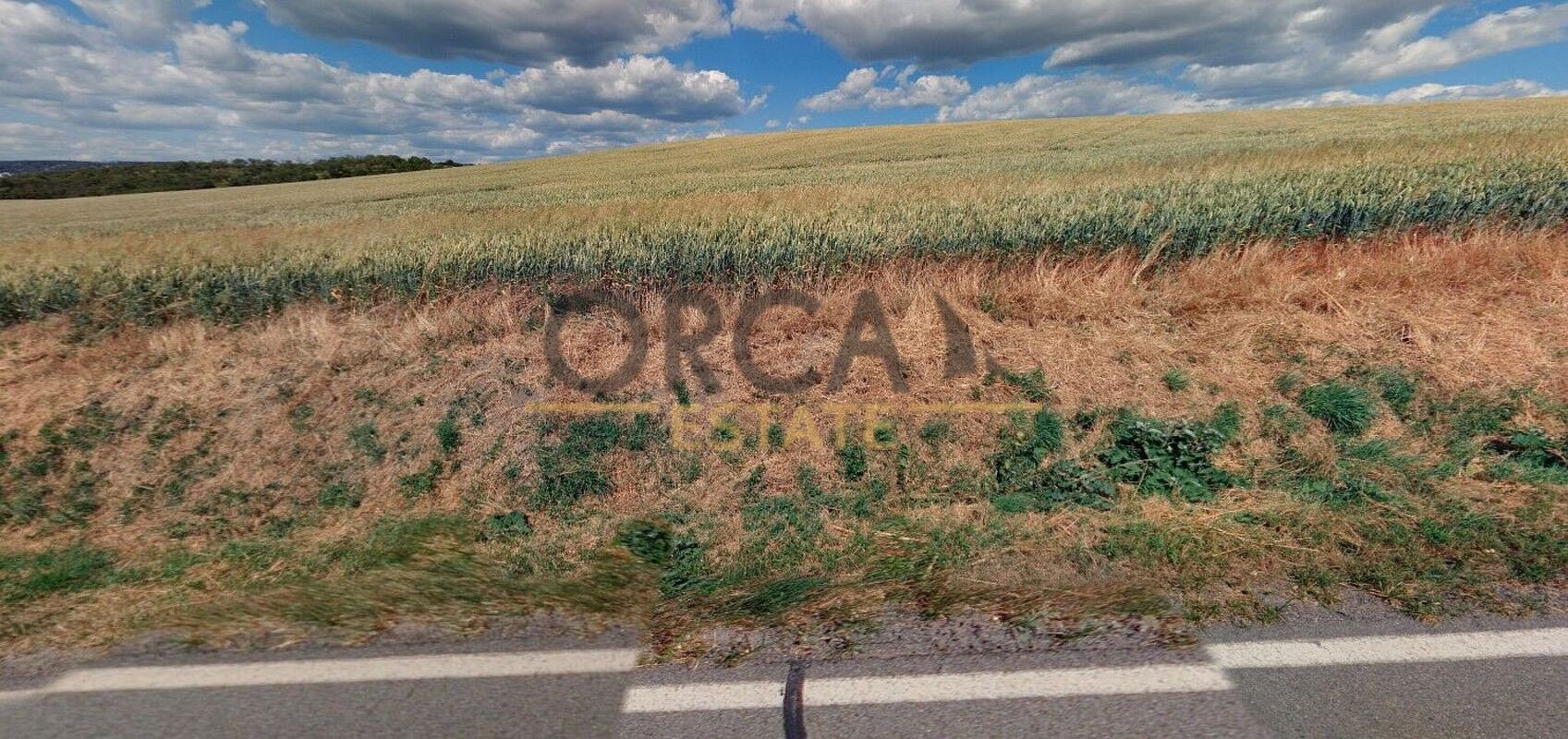 Zemědělský pozemek · Moravany, okres Brno-venkov, Jihomoravský kraj - 4