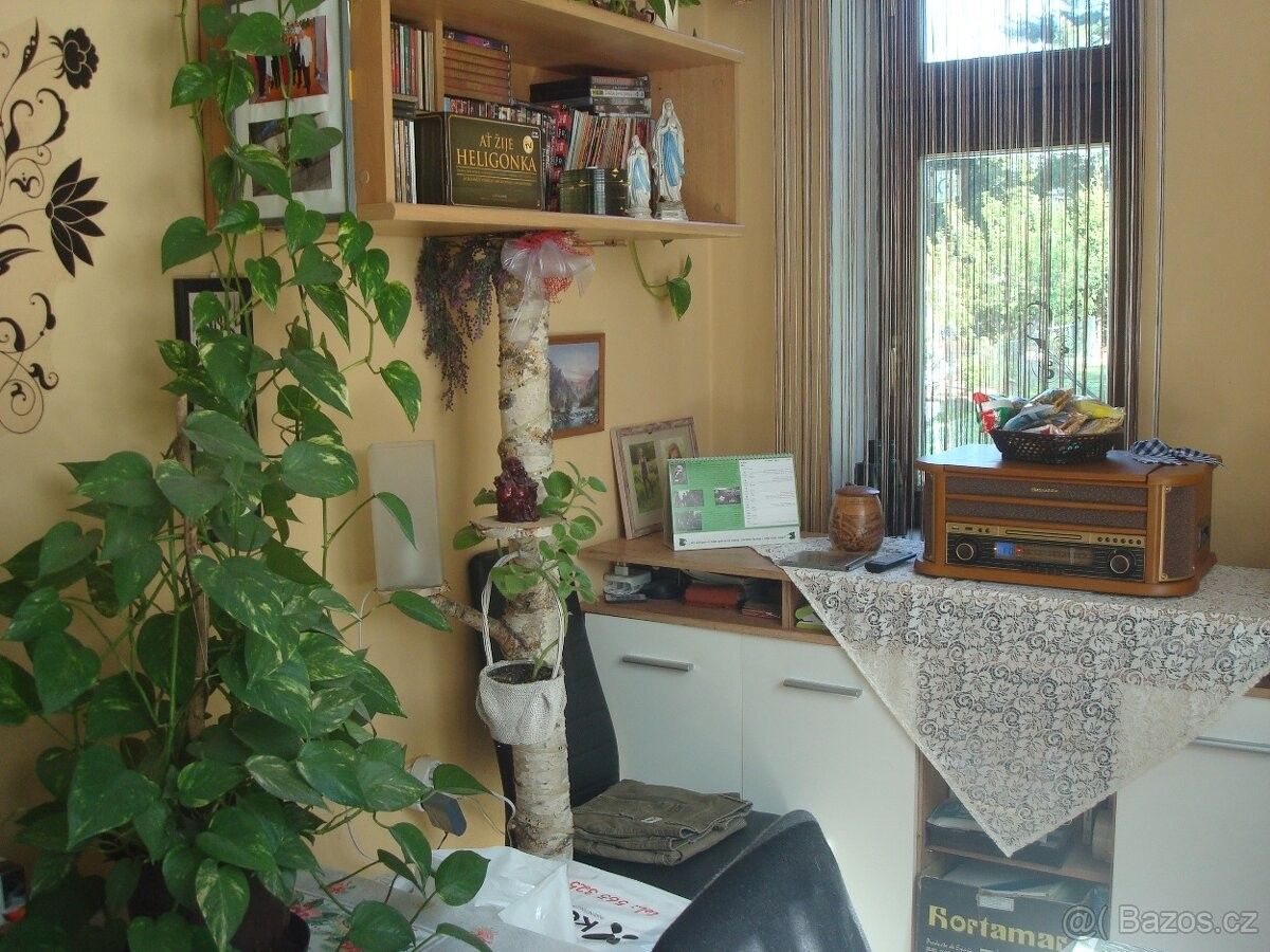 Prodej pozemek pro bydlení - Horní Dvořiště, 382 93