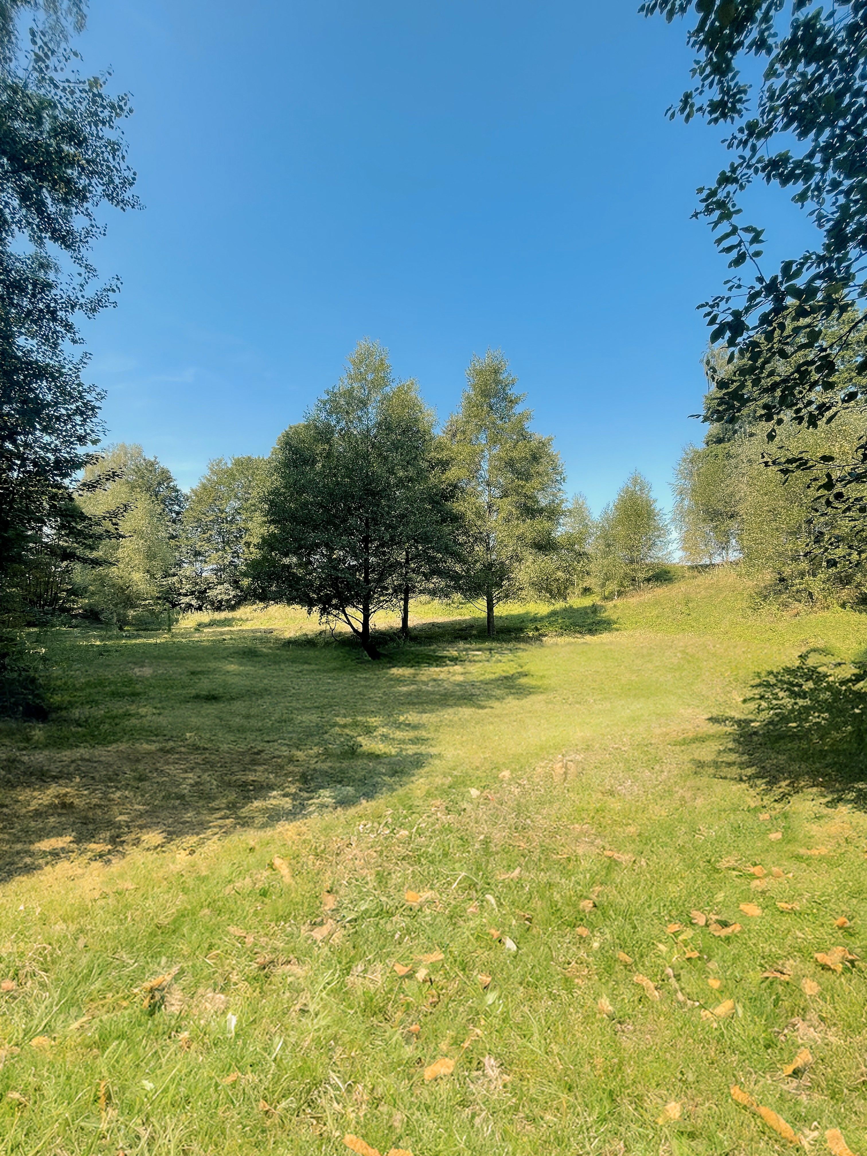 Zahrada · 6 838 m² · Výprachtice - 4